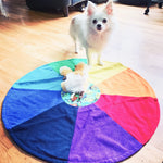 Load image into Gallery viewer, Custom Chakra Wheel 30”