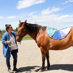 Load image into Gallery viewer, Custom Sacred Space Wheel 38"