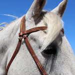 Load image into Gallery viewer, Bridle Charms