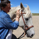 Load image into Gallery viewer, Charm Companion Packs