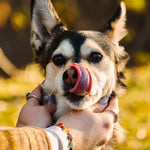 Load image into Gallery viewer, Collections Bracelets