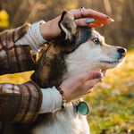 Load image into Gallery viewer, Collections Bracelets