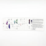 Load image into Gallery viewer, Affirmation Deck