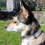 Load image into Gallery viewer, Collar Charms