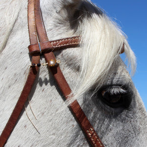 Bridle Charms
