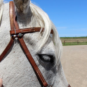 Bridle Charms